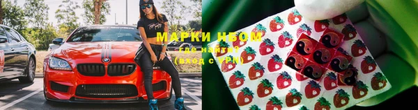 стаф Алзамай