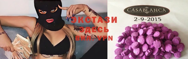 стаф Алзамай
