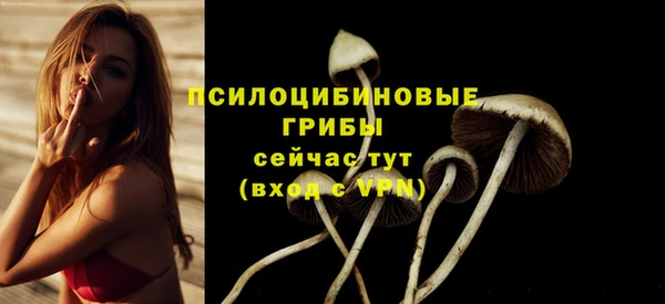 стаф Алзамай