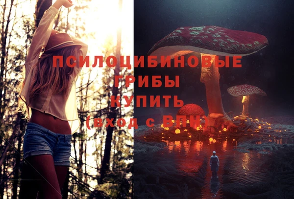 синтетический гашиш Алексеевка