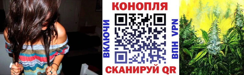 Бошки Шишки AK-47  KRAKEN   Сураж  продажа наркотиков 